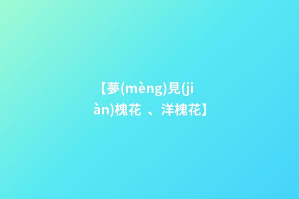 【夢(mèng)見(jiàn)槐花、洋槐花】